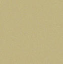 Beige Metallic Beige Metallic